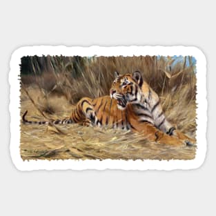 Tiger in the tall grass Sticker